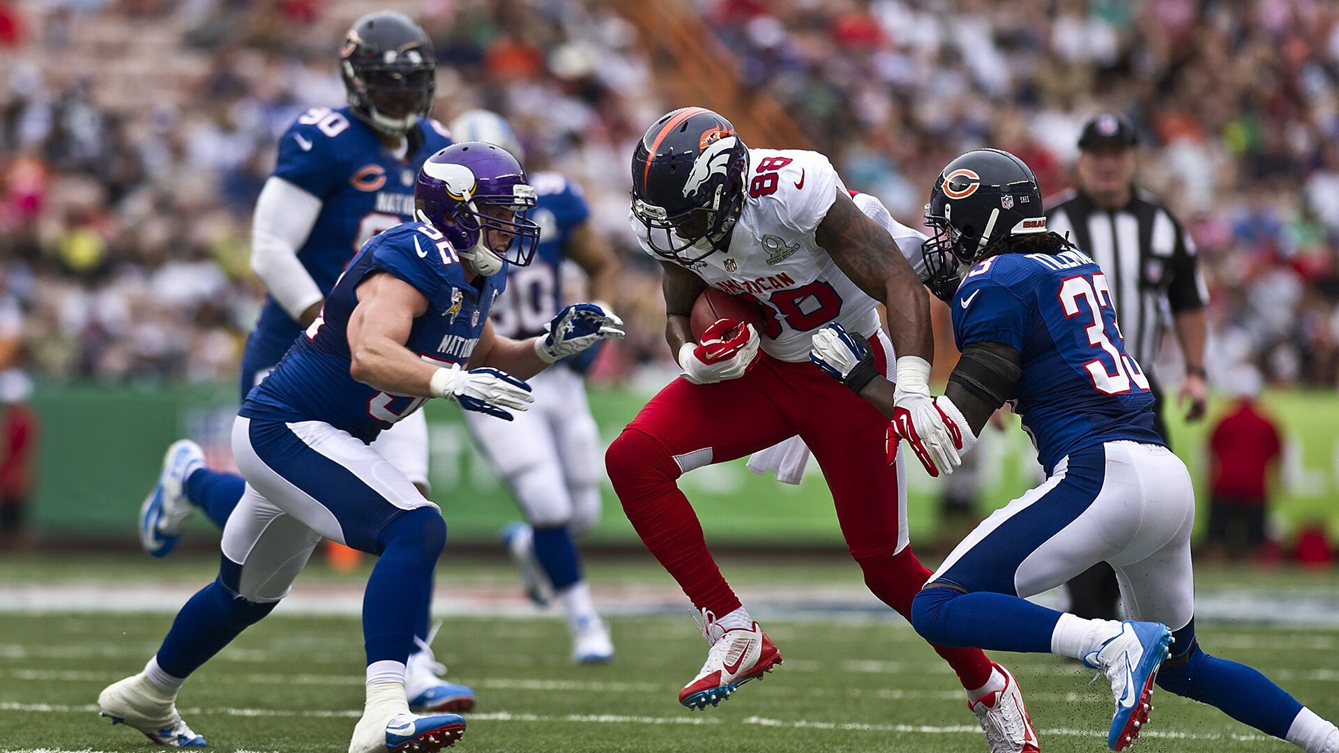 海鹰外接手状态火热，全队势头高涨，海鹰什么意思